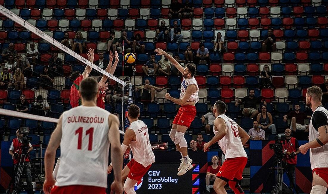 A Milli Erkek Voleybol