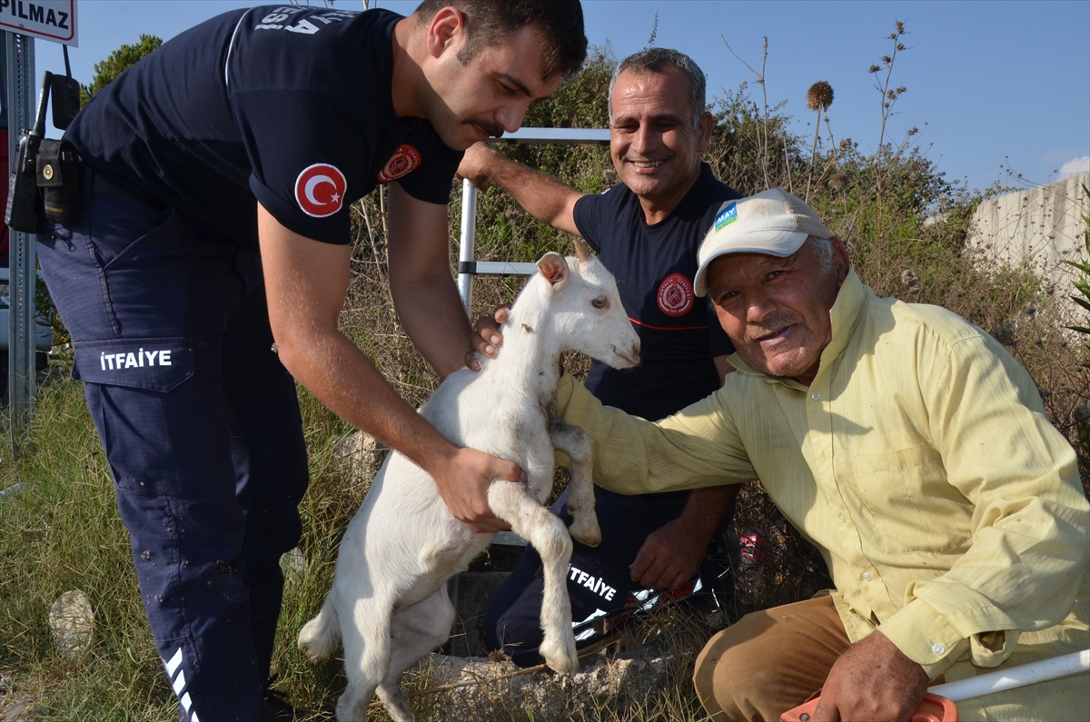 Antalya'da kuyuya düşen oğlağı itfaiye kurtardı