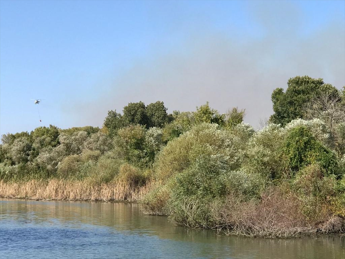 Antalya'da sazlık alanda çıkan yangın söndürüldü