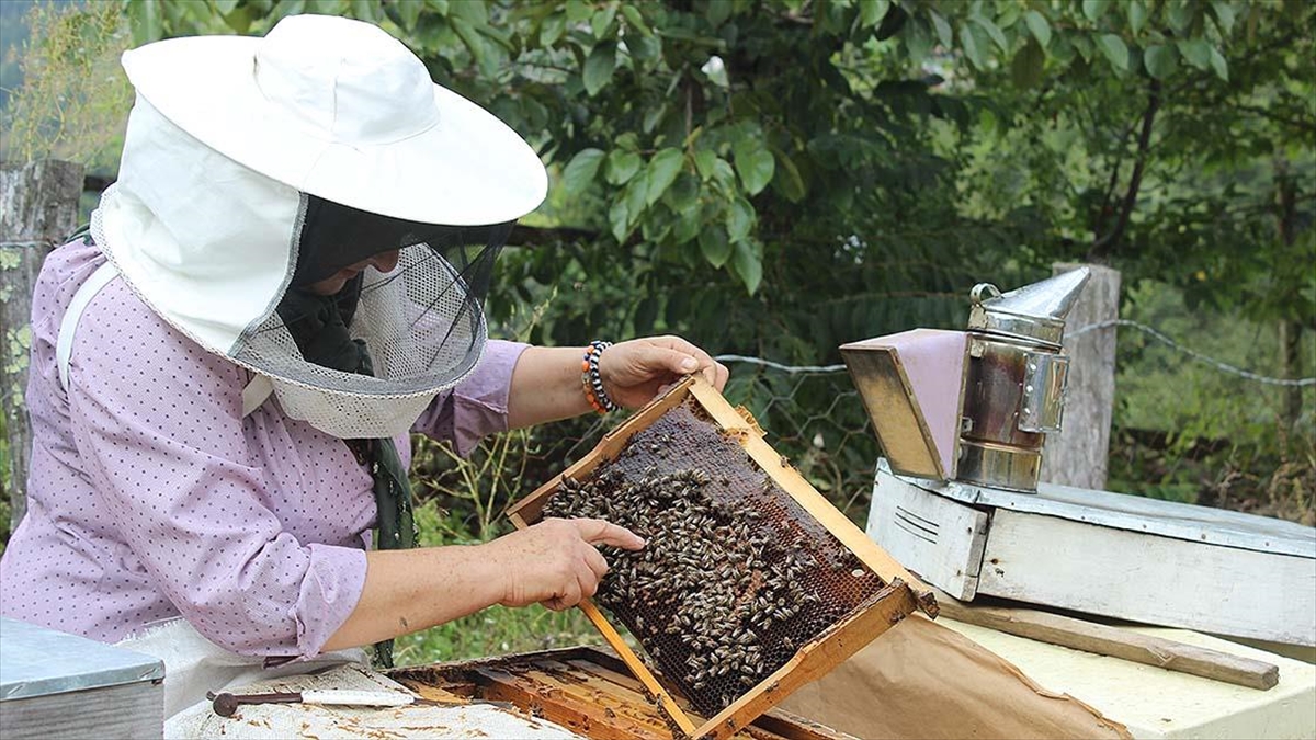 Artvinli kadın girişimci, ürettiği ana arı ve balı ülkenin dört bir yanına satıyor