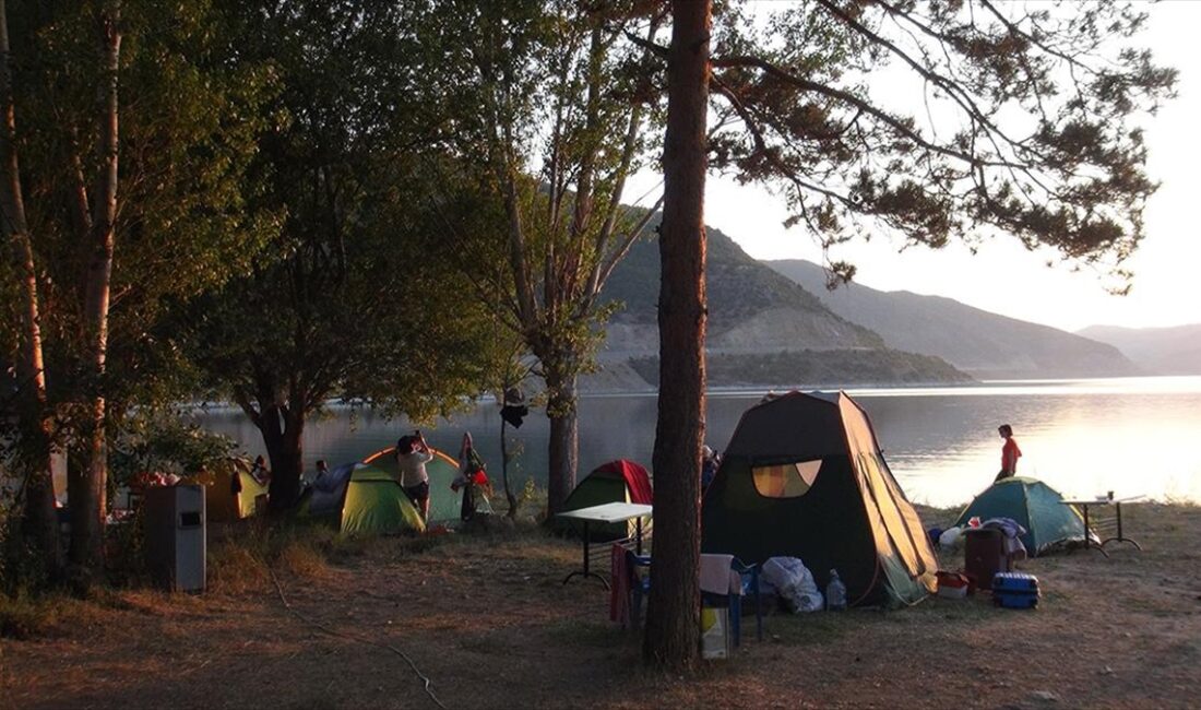 Çevre illerden Bitlis'in Tatvan