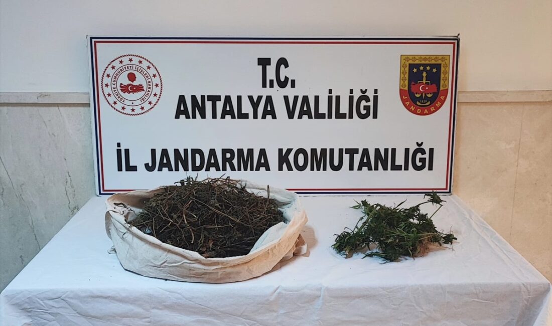 ANTALYA (AA) – Antalya'da