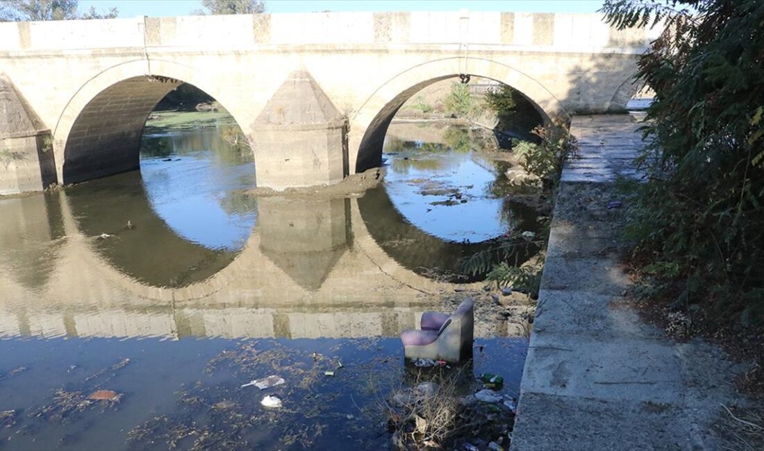 EDIRNE (AA) – Yaşanan kuraklık nedeniyle su akışının da yavaşlamasıyla