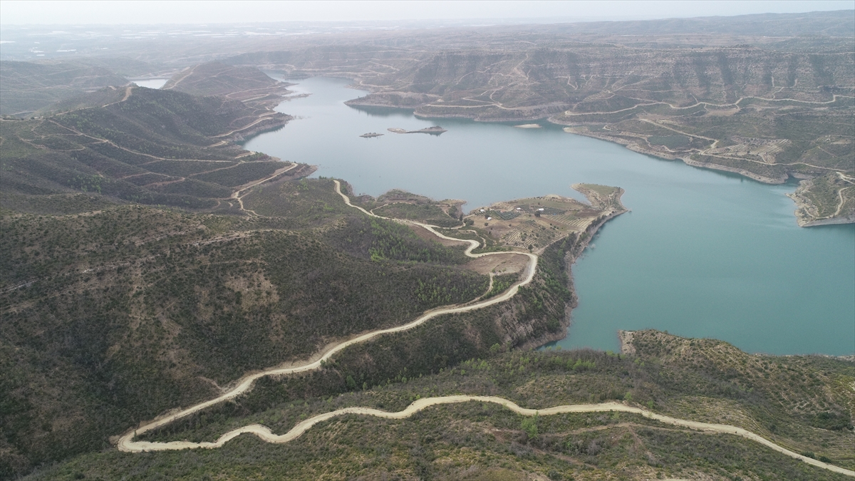 Antalya'da küle dönen ormanlarda 5,5 milyon fidan toprakla buluştu