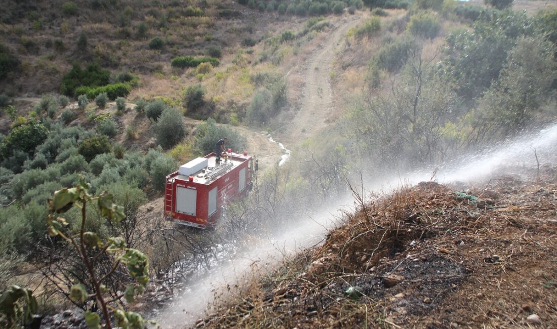 ANTALYA (AA) – Antalya'nın