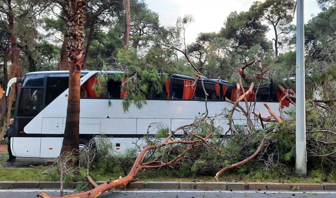 ANTALYA (AA) – Antalya'nın