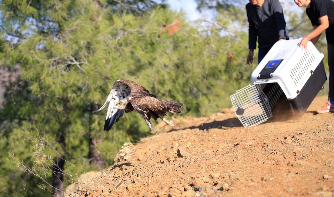 ANTALYA (AA) – Antalya'da