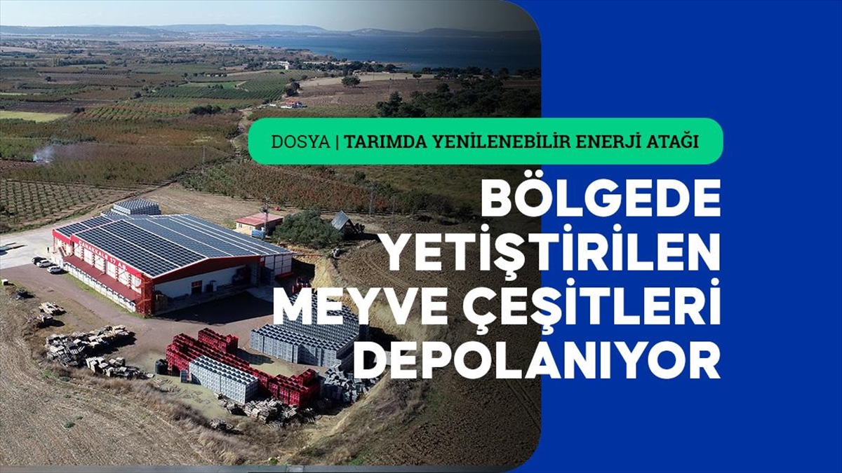 Çanakkale'deki soğuk hava deposu enerjisini çatısındaki 1110 güneş panelinden alıyor