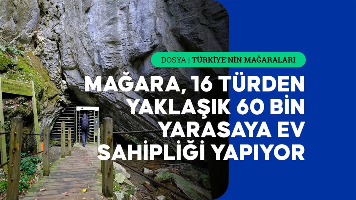 Trakya'nın tek turizme açık mağarası yarasalarıyla ziyaretçi çekiyor