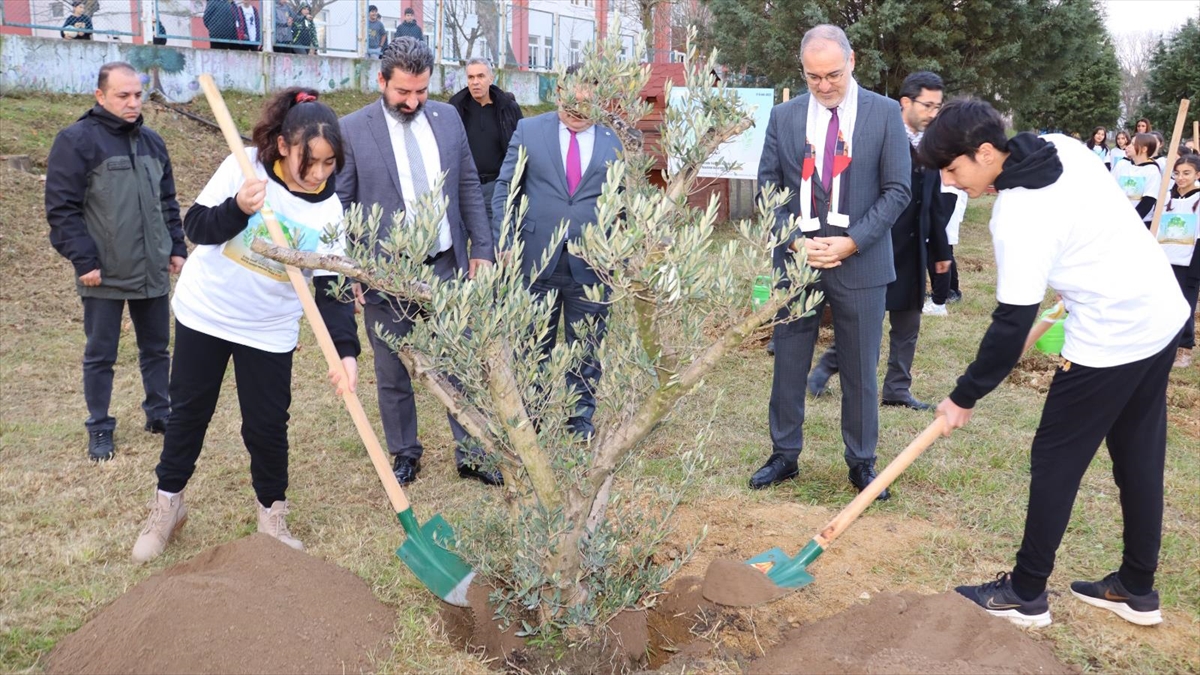 İsrail'in saldırılarında hayatını kaybeden Gazzeli çocuklar anısına Sakarya'da 6 bin fidan dikildi