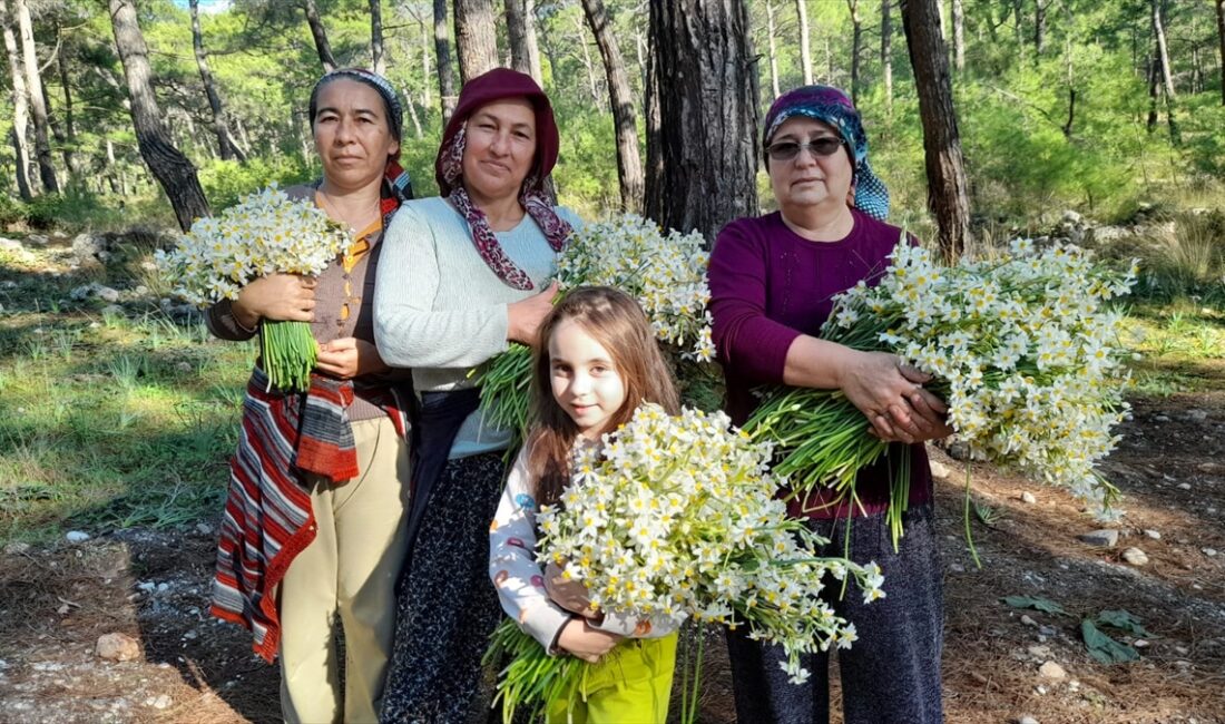 ANTALYA (AA) – Antalya'nın