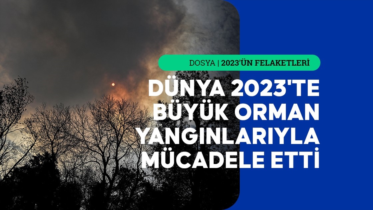 Orman yangınları büyük çapta tahribata, ormanlık alan kaybına ve karbon emisyonuna yol açtı