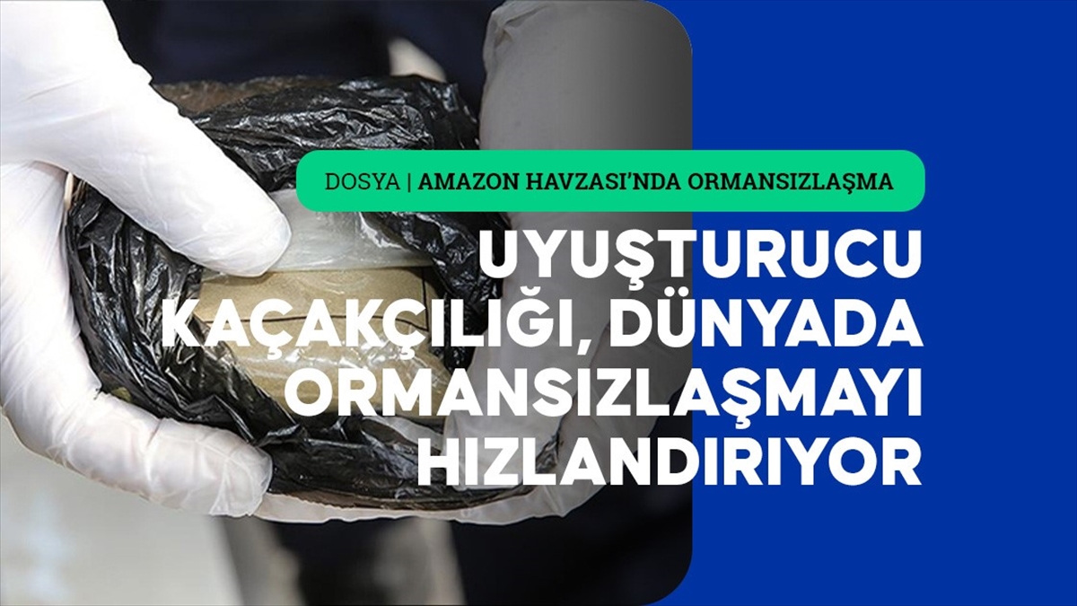 Uyuşturucu kaçakçılığı, “dünyanın akciğerlerini” günden güne söndürüyor