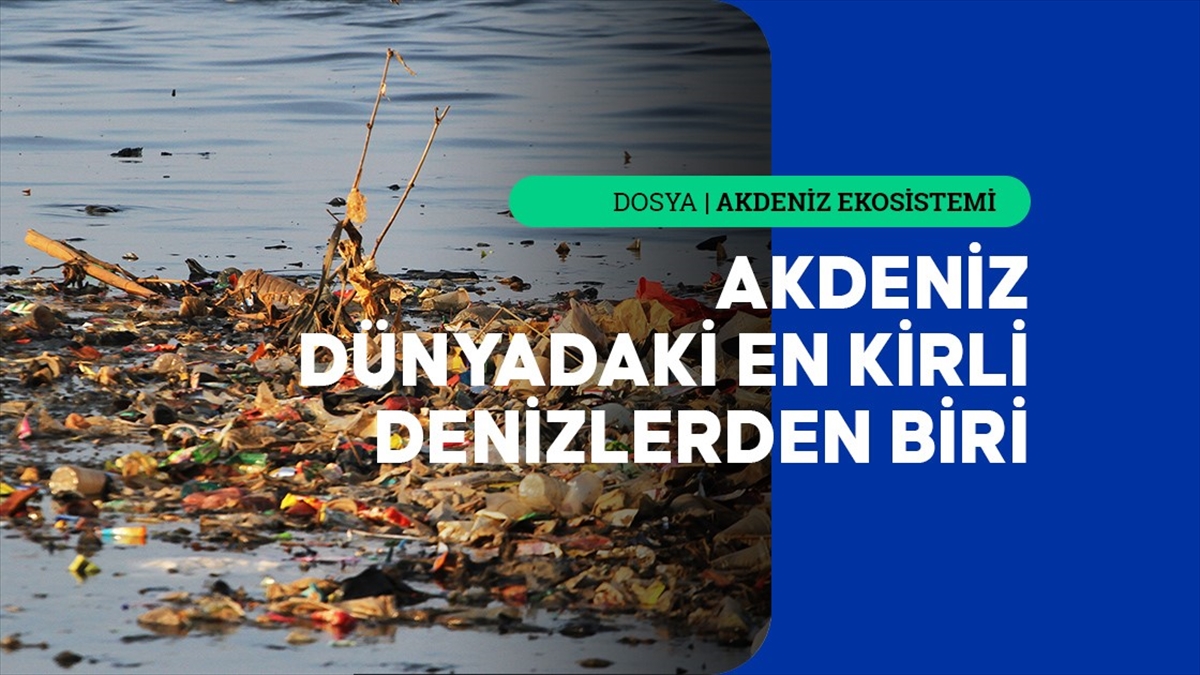 Akdeniz'deki plastik kirliliğinin boyutu alarm veriyor