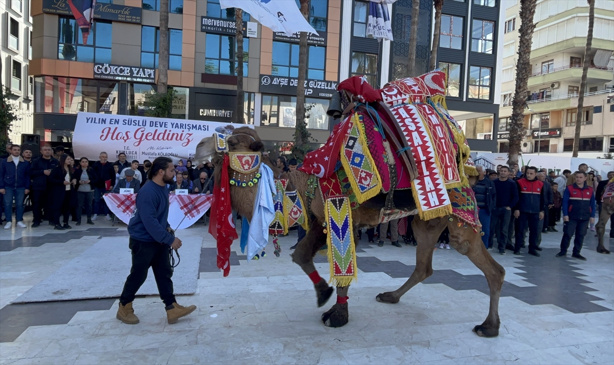 Antalya'da “en süslü deve” yarışması düzenlendi