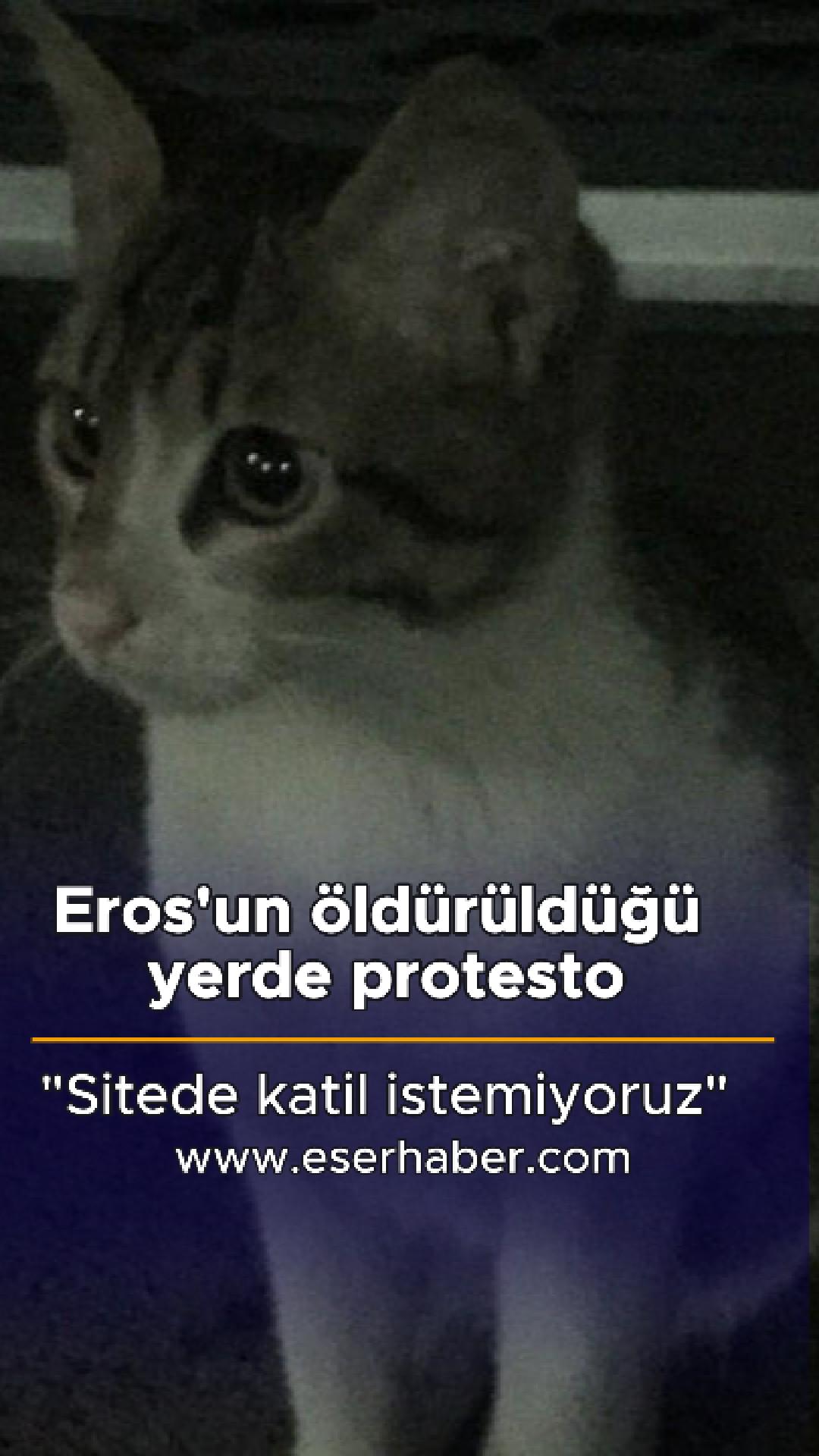 Eros’un öldürüldüğü yerde protesto: “Sitede katil istemiyoruz”