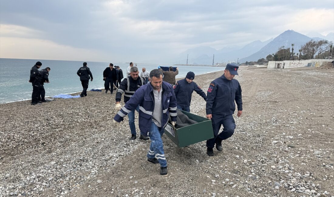 ANTALYA (AA) – Antalya'nın