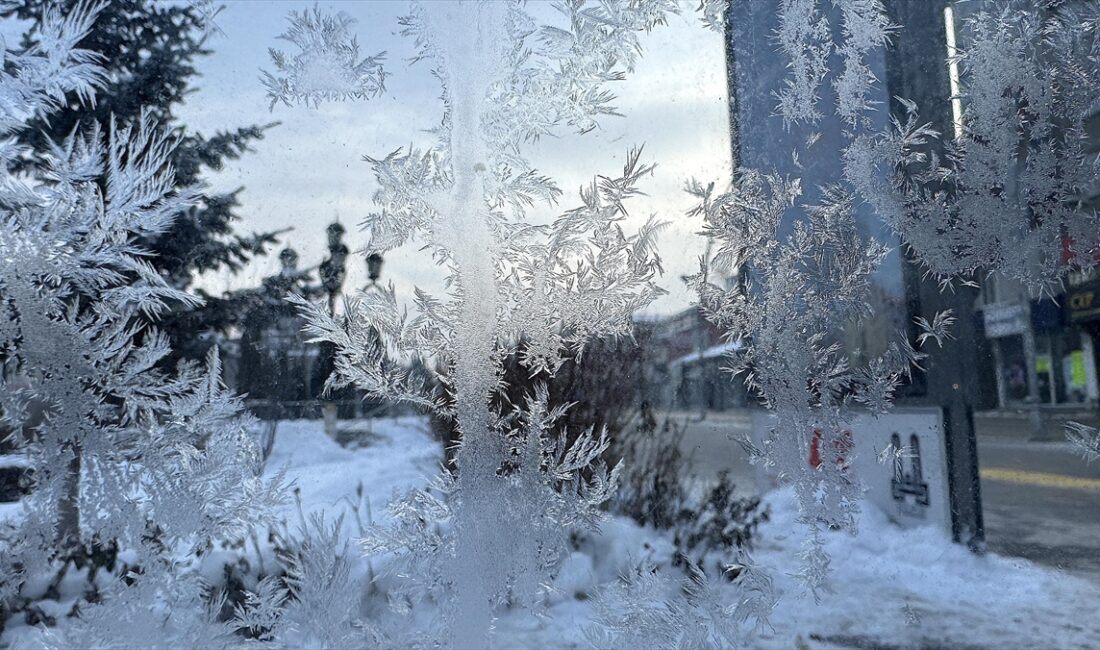 Ardahan'da olumsuz hava koşulları