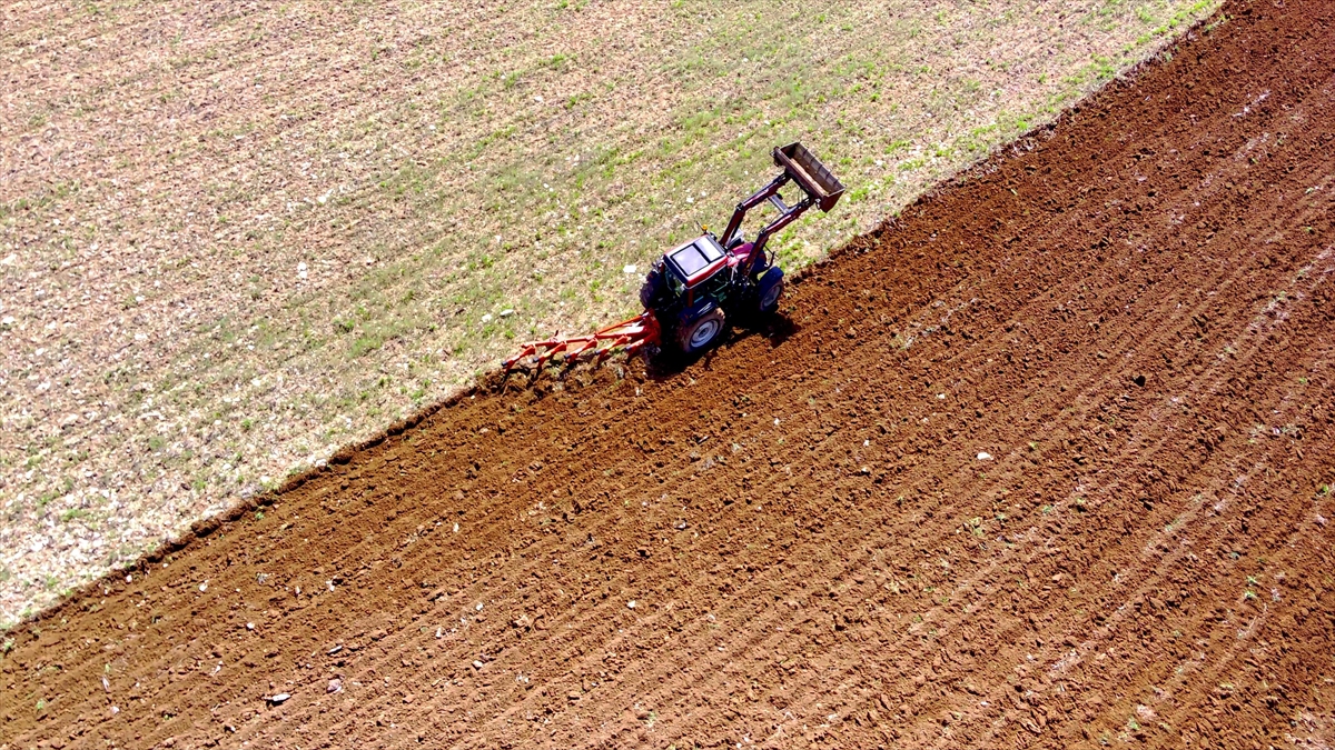 Deprem bölgesindeki atıl tarım arazilerini etkinleştirmek için 127 milyon lira harcandı