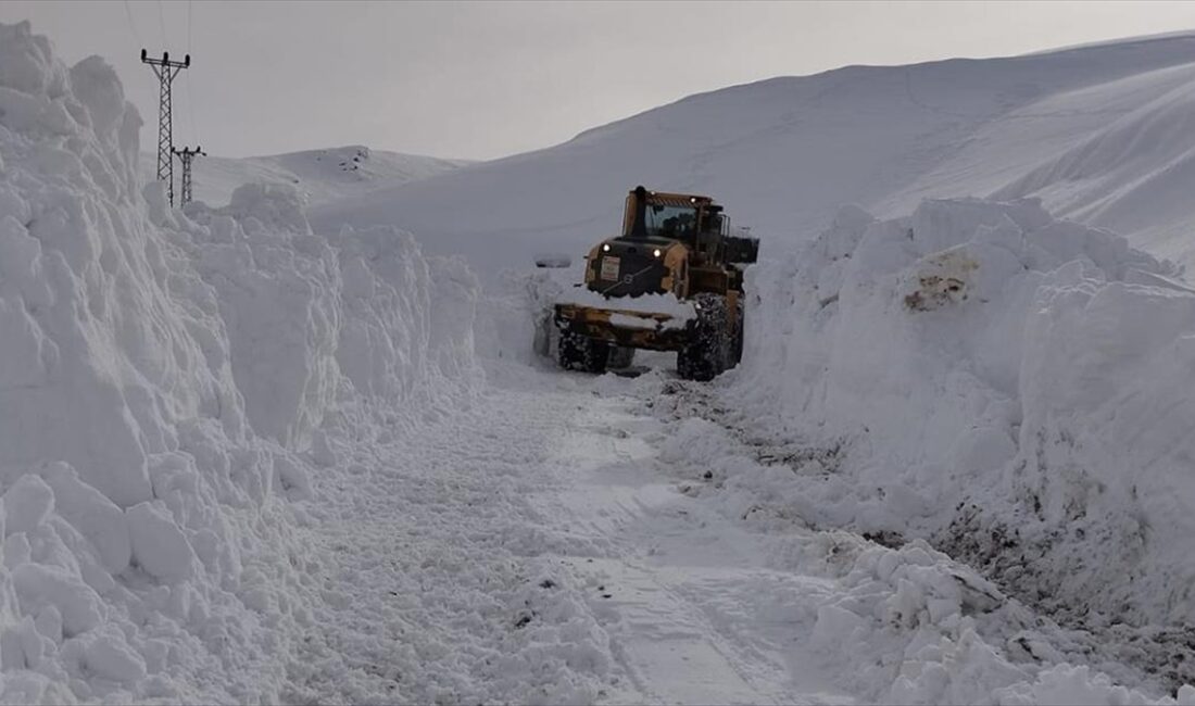 Hakkari'nin Yüksekova ilçesinde ekipler,