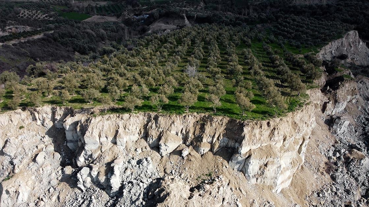 Hatay'da 400 metrelik yarık oluşan zeytinlik depremin simgelerinden oldu