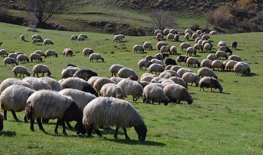 Tarım ve Orman Bakanlığı