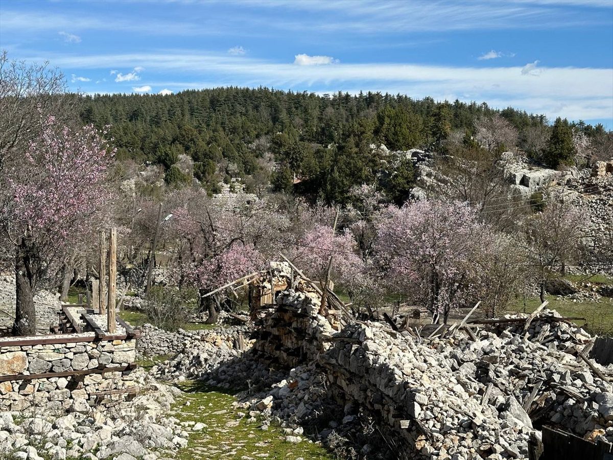 Akseki'de meyve ağaçları çiçek açtı