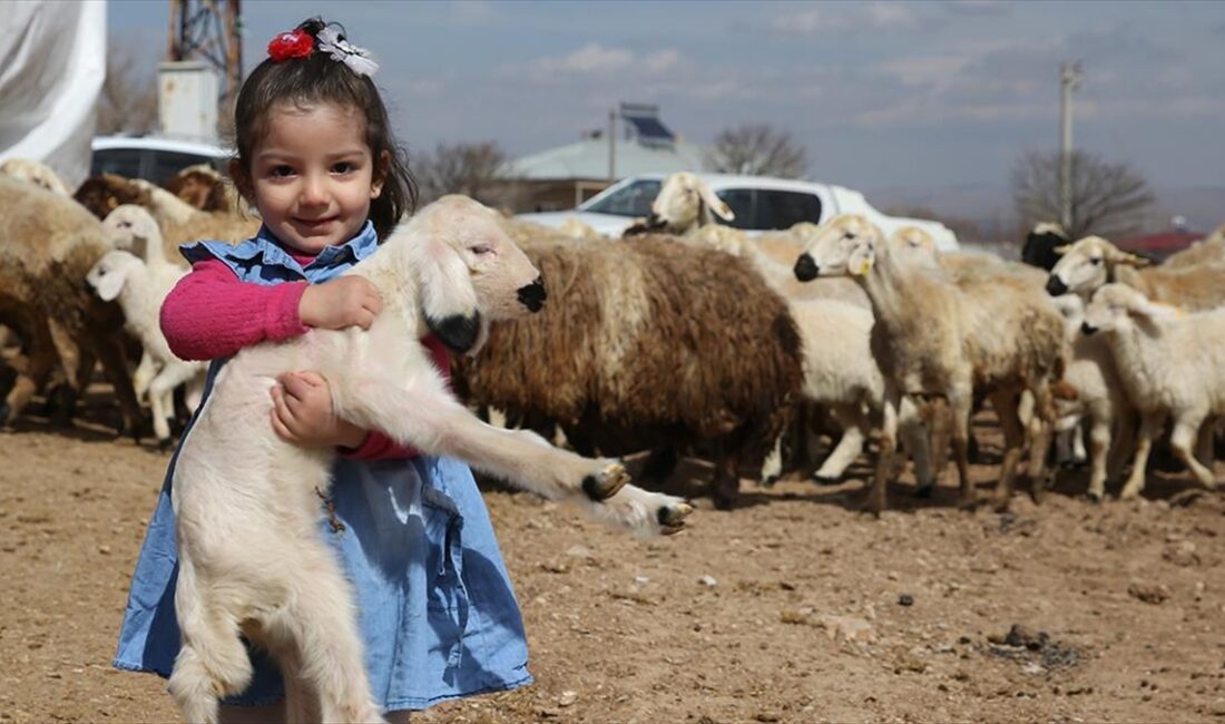 Tarım ve Orman Bakanlığınca