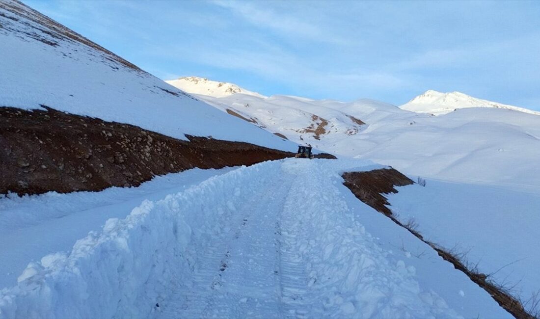 Şırnak'ın Beytüşşebap ilçesinde, kar