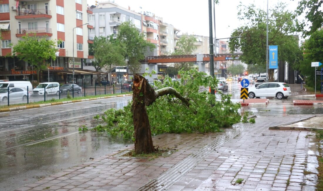 ANTALYA (AA) – Antalya'da