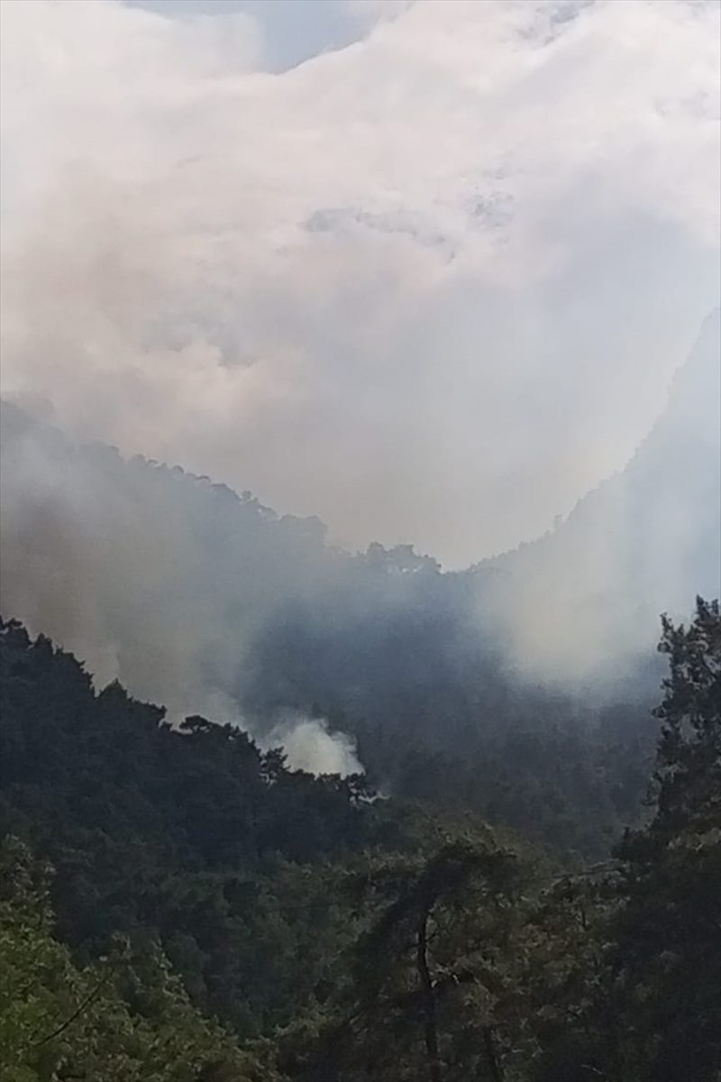 Antalya'da ormanlık alanda çıkan yangına müdahale ediliyor