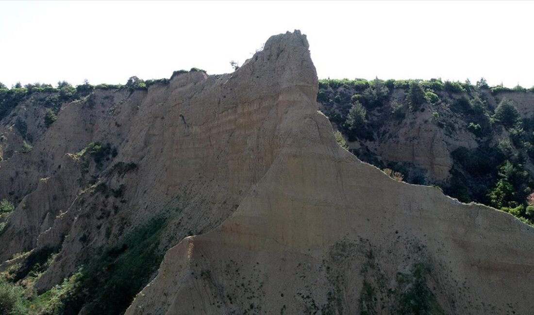 Çanakkale Savaşları'na katılan Anzak