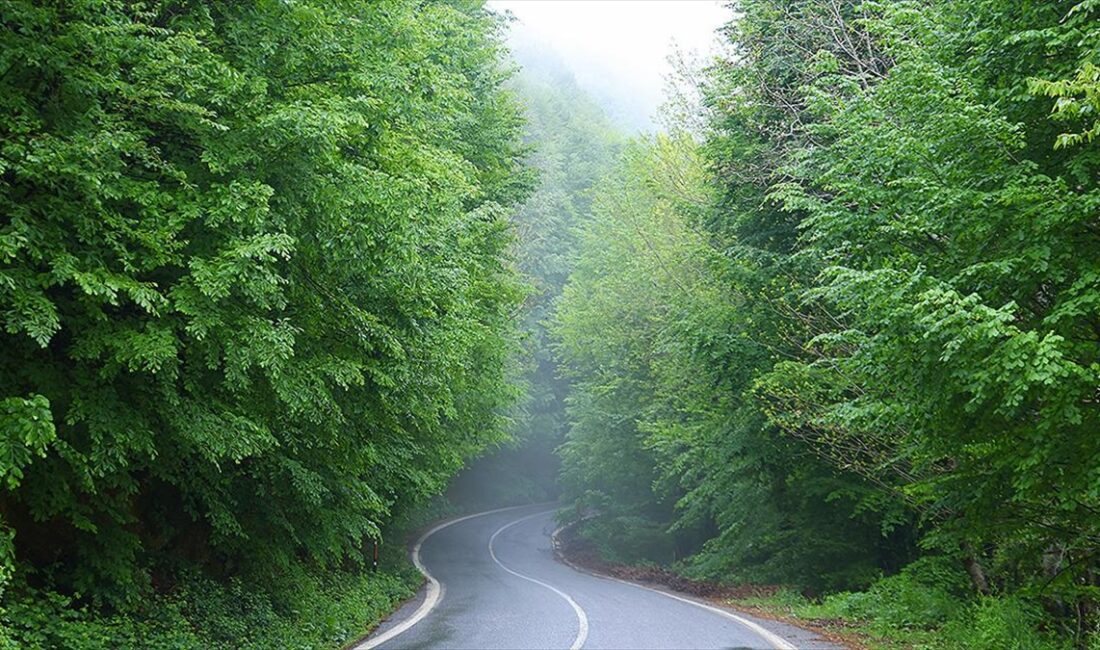 Sakarya'nın Kocaali ve Hendek