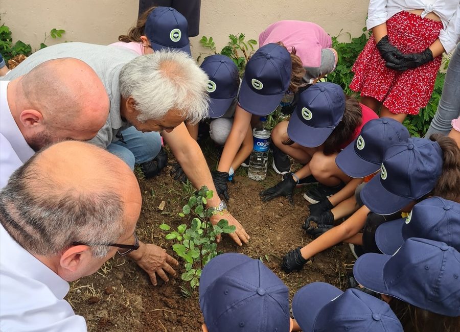 ANTALYA (AA) – Akdeniz