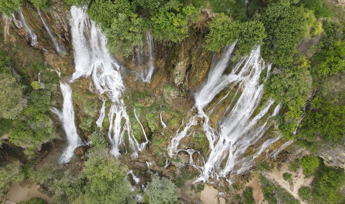 Erzincan’da baharın gelişiyle yeşile