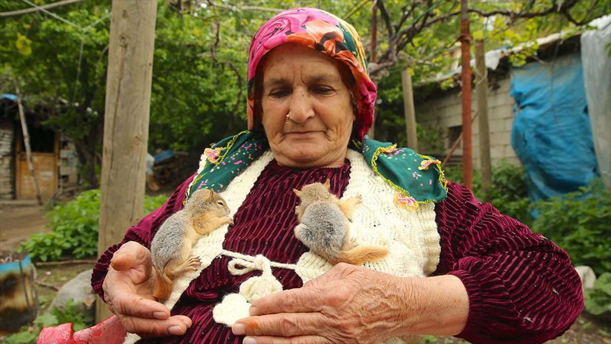 Hakkarili aile tarlada bitkin halde buldukları 2 sincap yavrusunun bakımını üstlendi