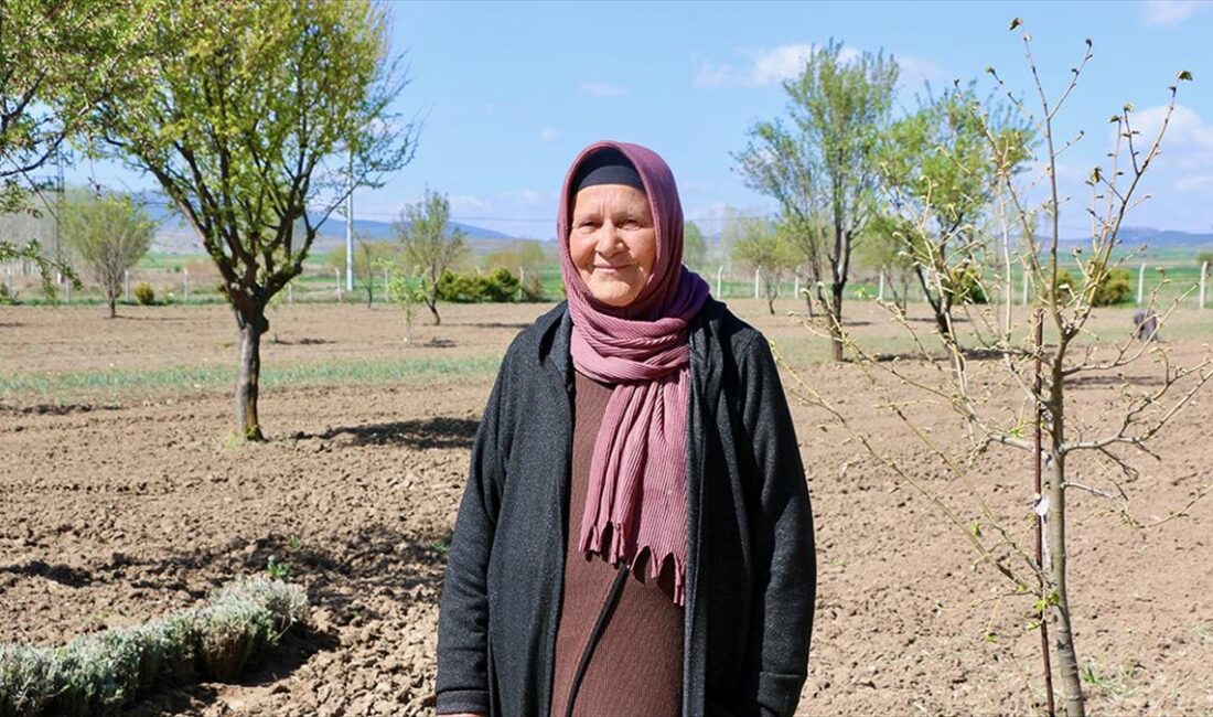 Almanya'da 40 yıl yaşadıktan