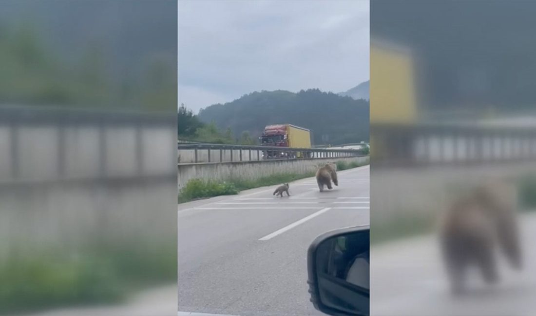 Tokat'ın Reşadiye ilçesinde kara