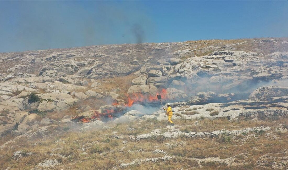 Adıyaman'da çıkan örtü yangını