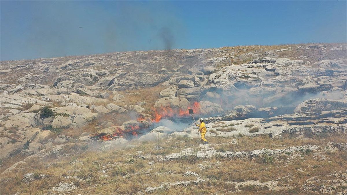 Adıyaman’da çıkan örtü yangını ormana sıçramadan söndürüldü