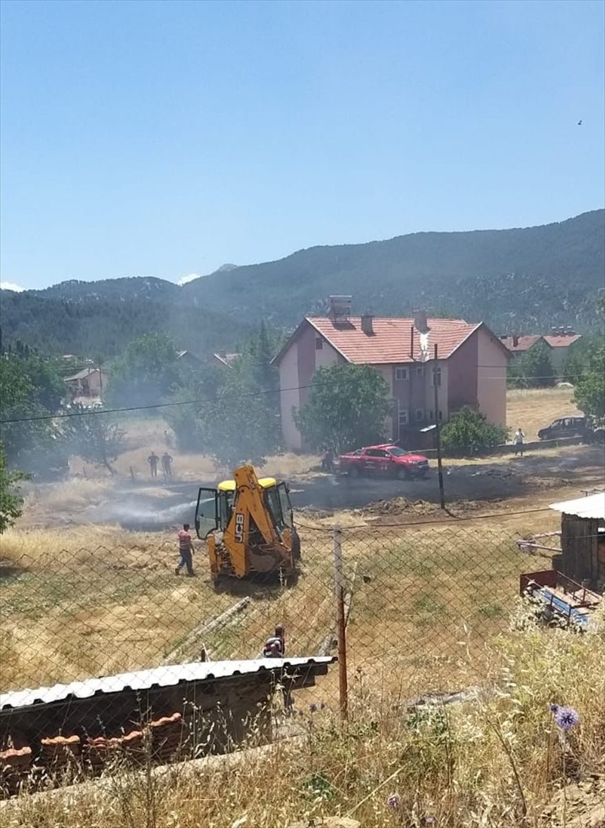 Antalya’da çıkan anız yangınında meyve ağaçları zarar gördü