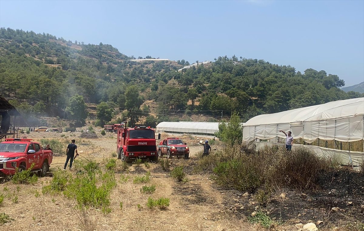 Antalya'da çıkan yangında evde ve serada hasar oluştu