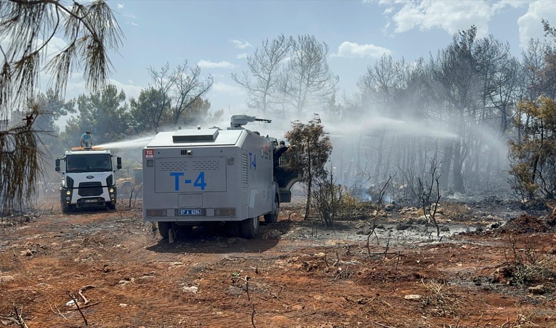 ANTALYA (AA) – Antalya'nın