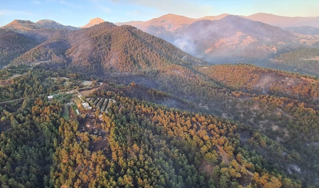 Tarım ve Orman Bakanı