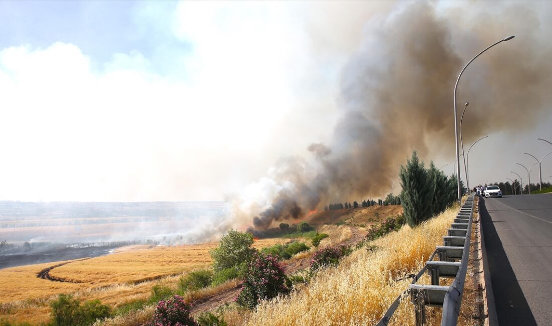 DIYARBAKIR (AA) – Şirketten