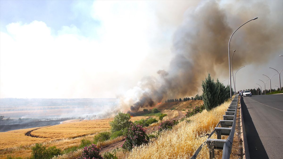 Dicle Elektrikten Diyarbakır ve Mardin arasındaki anız yangınına ilişkin açıklama