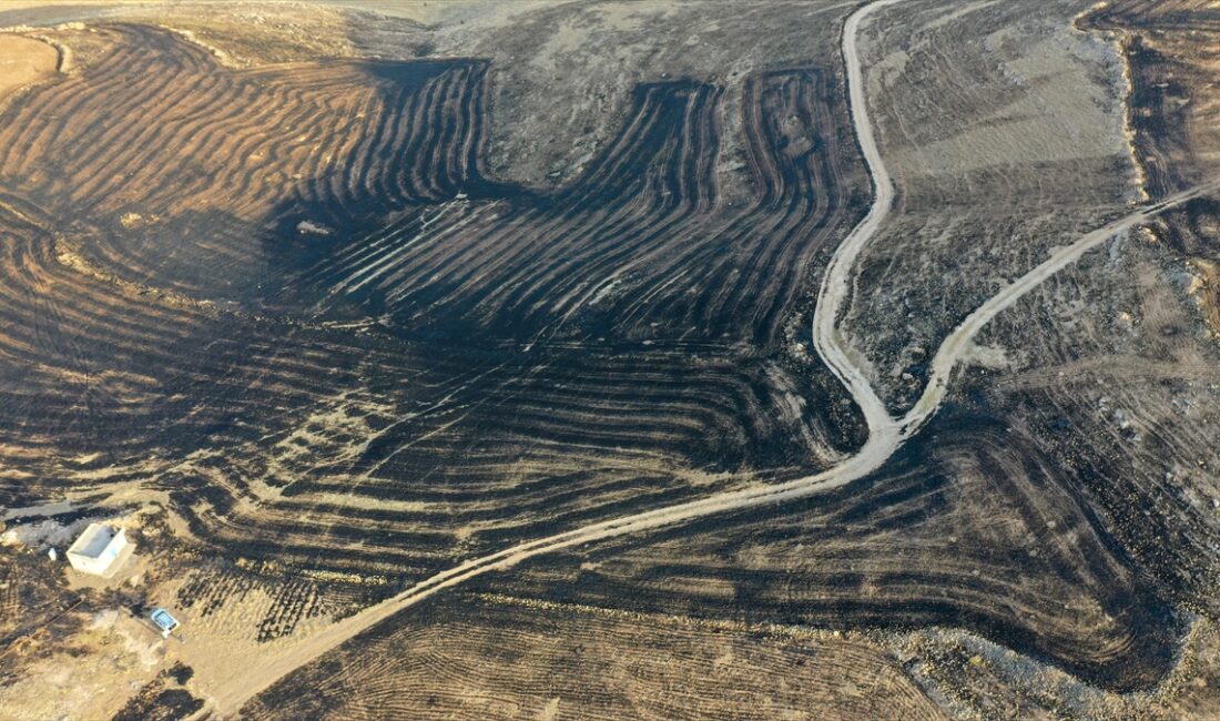 Diyarbakır'ın Çınar ile Mardin'in