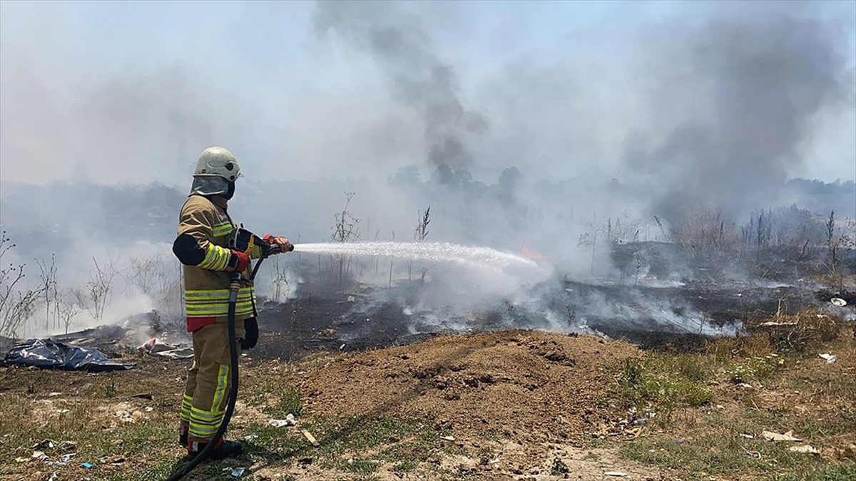 Düzce’de çöplükten tarlalara sıçrayan yangın kontrol altına alındı