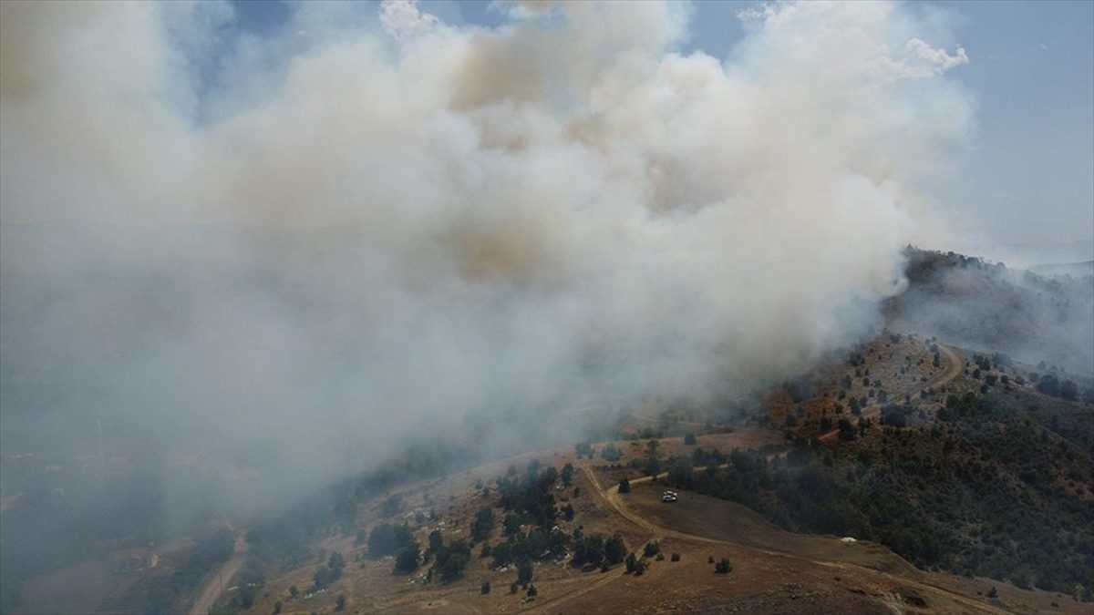 Elazığ’da ormanlık alanda çıkan yangına müdahale ediliyor