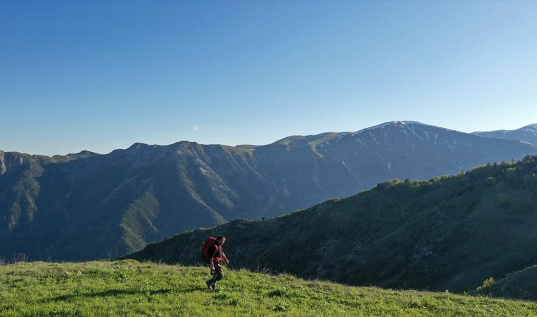 Erzurum-Rize sınırındaki zirvelerde yer